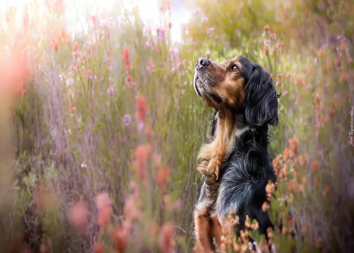 Апартаменты Flat,